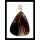 Pendentifs Agate