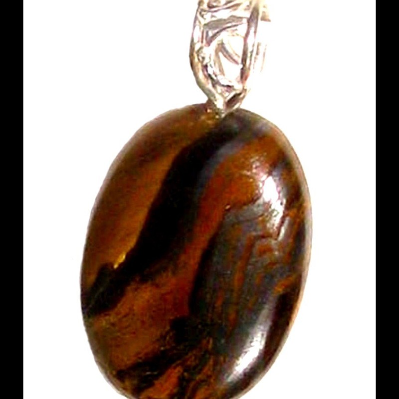 Bijoux Tigre de fer - Pendentif indien - Bijoux fantaisie