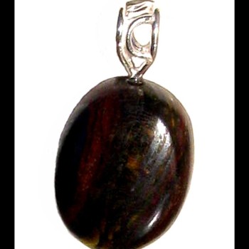 Bijoux Tigre de fer - Pendentif indien - Bijoux fantaisie