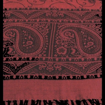 Etole à motifs Pezeli tissés - Etoles indienne